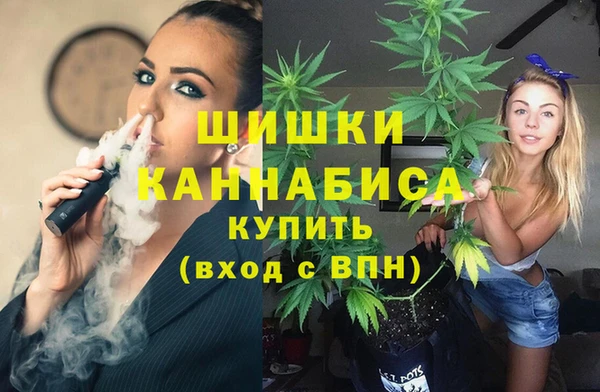 мескалин Богородицк