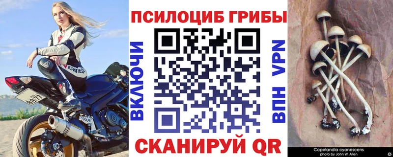 Галлюциногенные грибы мицелий  Клинцы 